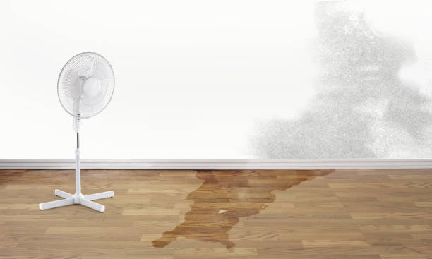 Best Flood restoration services  in Ardia, CA