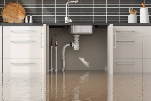 Best Local water damage restoration  in Ardia, CA