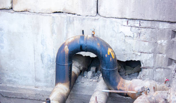 Best Local water damage restoration  in Ardia, CA